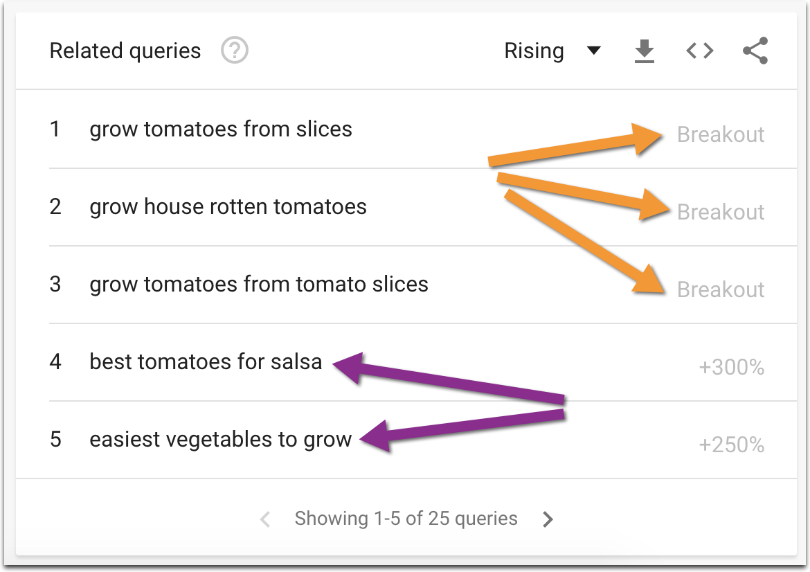 google trends