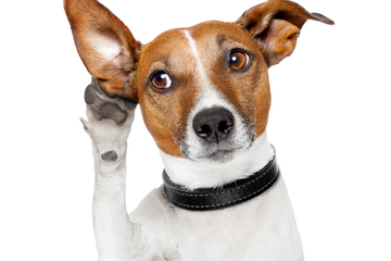 Social listening 101 Six crucial keywords to track