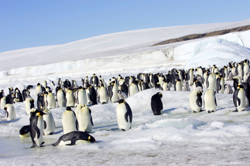 SEO strategy website redesign migration
