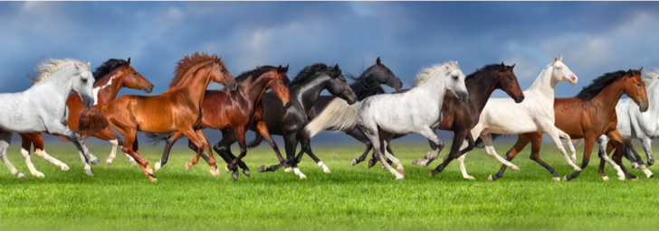 10 Effective ways to boost click-through rate (CTR) using SERPs