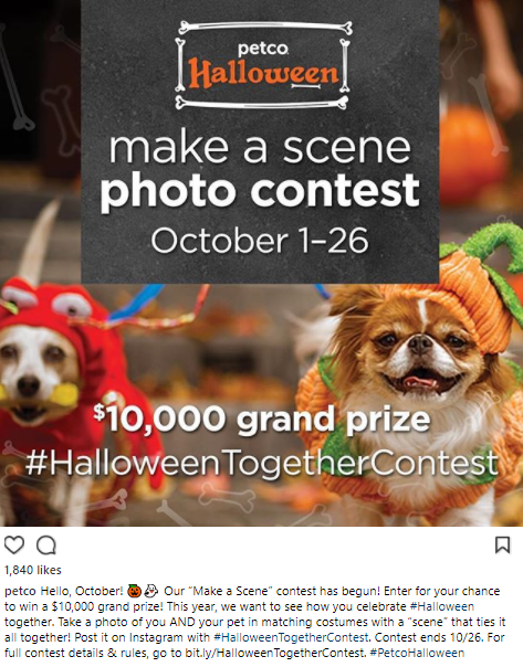 Petco Instagram example