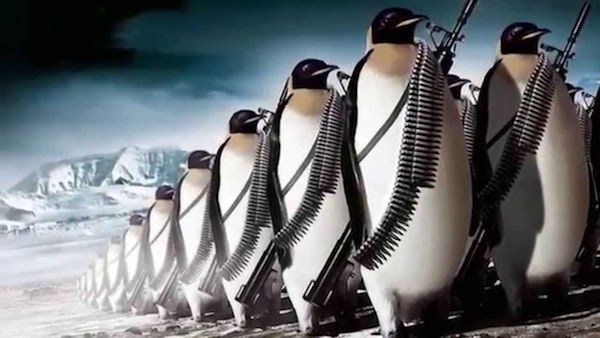 penguins marching to war