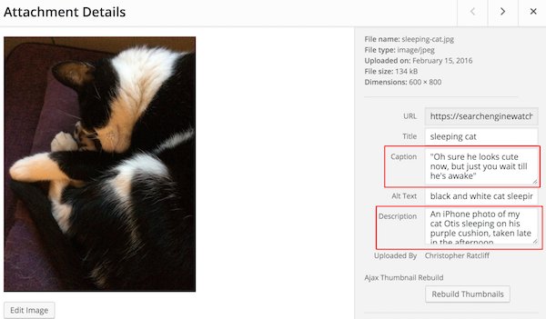 wordpress photo upload highlighting caption and description