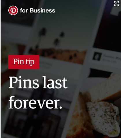 Pins provide great value and long-term return on investment