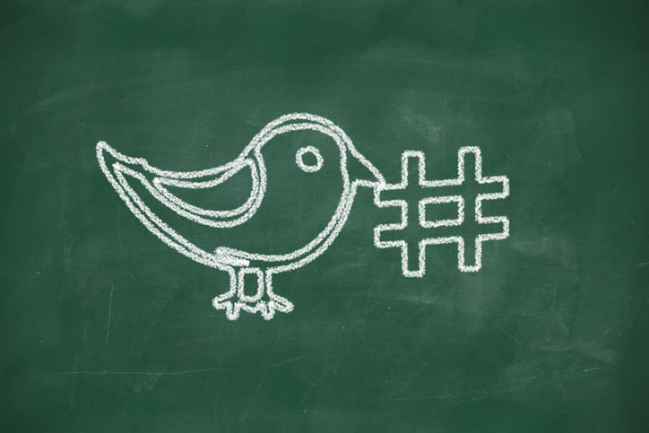 A white chalk drawing of a bird holding a hashtag, set against a green chalkboard backdrop.