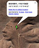 Face on Google Maps