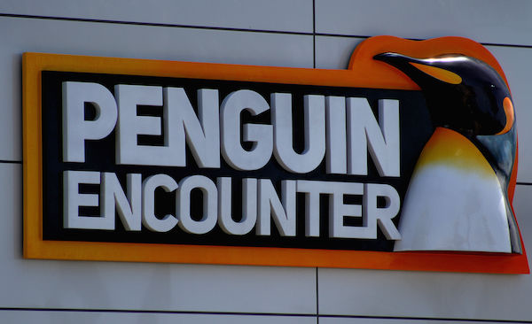 penguin-encounter-6