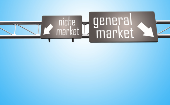 niche-market-general-market