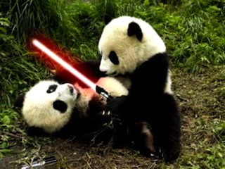 panda-lightsaber