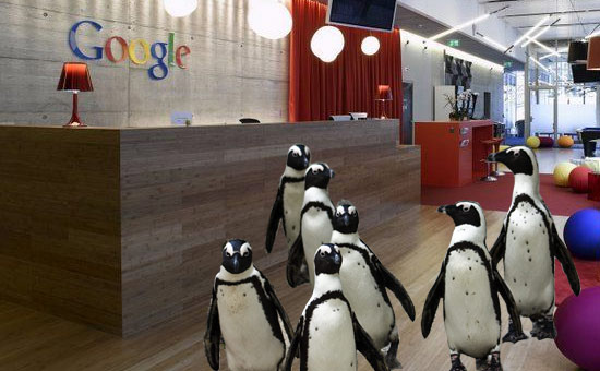 Penguins at the Googleplex