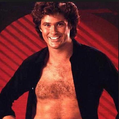 david-hasselhoff