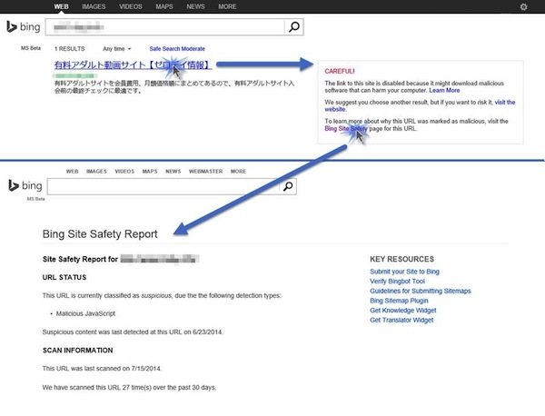 bing-site-safety-page
