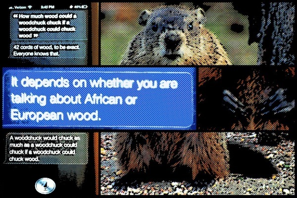 Siri Vs Woodchuck Siri Vs Woodchuck