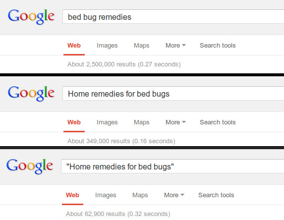 bed-bug-remedies-google-searches