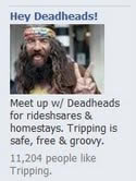 hey-deadheads