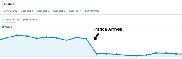 Google Panda Arrives