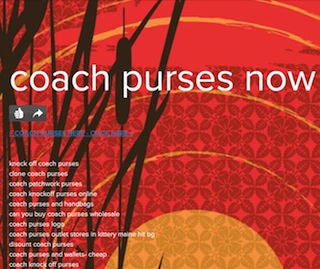 coach-purses-now