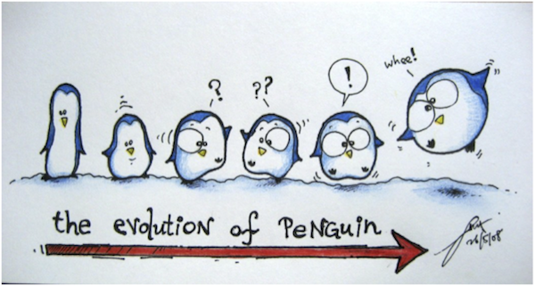 evolution-of-penguin