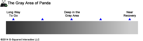 The Gray Area of Panda The Gray Area of Panda