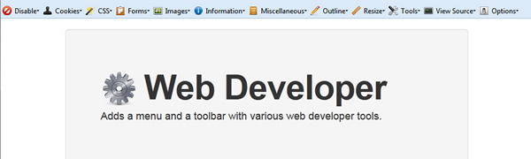 SEO Audits & the Web Developer Plugin: 12 Helpful Features for the Technical SEO - Search Engine Watch
