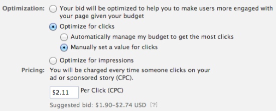 facebook-bid-cpc-manual