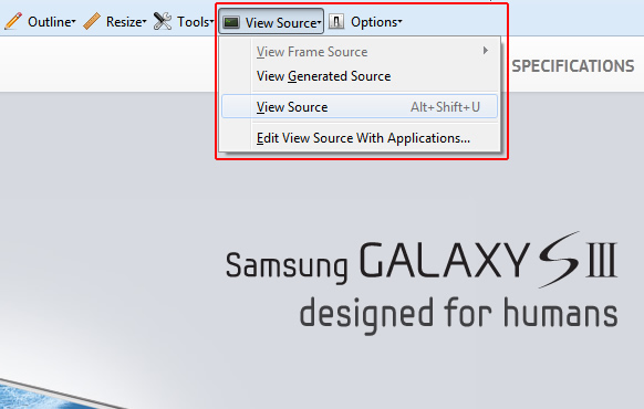 Web Developer View Source