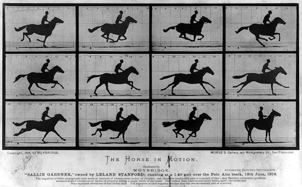 the-horse-in-motion the-horse-in-motion