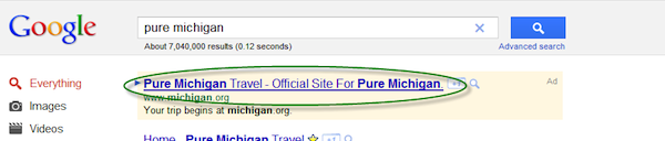 google-adwords-pure-michigan-long-headline