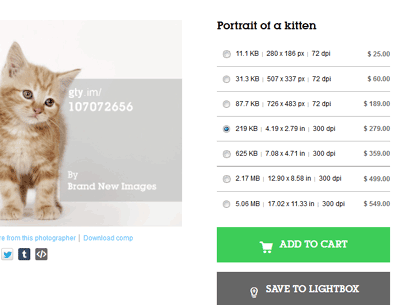 Getty Pricing for Kitten Pic