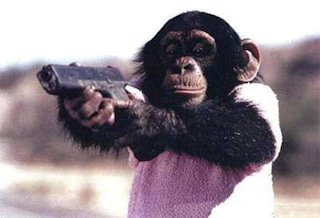 chimpanzeewithgun