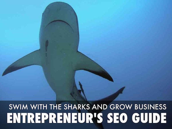 Swim With the Sharks - Entrepreneurs SEO Guide Swim With the Sharks - Entrepreneurs SEO Guide