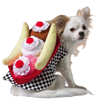 Banana Split Dog Costume