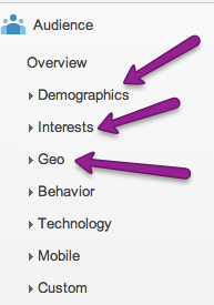 ga-demographics-interests-geo