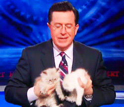 stephen-colbert-5 stephen-colbert-5
