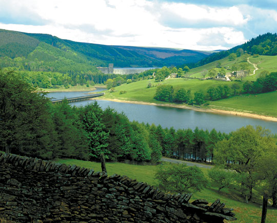 A view of a river between hills and forests A view of a river between hills and forests