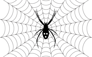 spiderweb