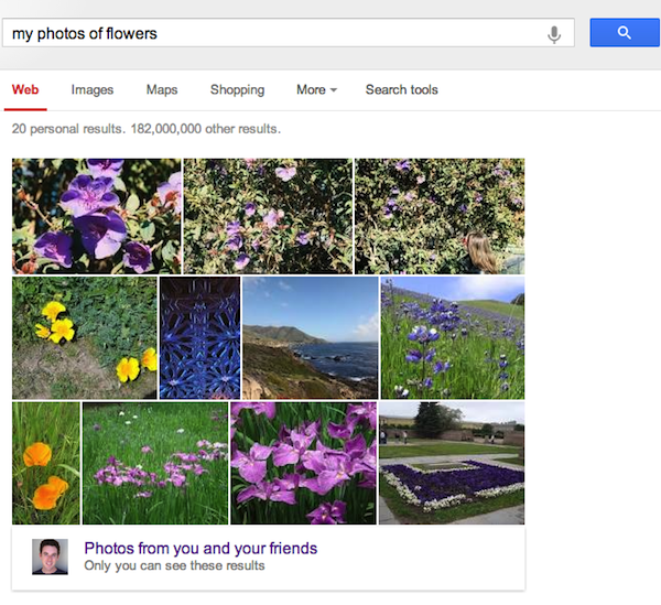 google-my-photos-of-flowers google-my-photos-of-flowers
