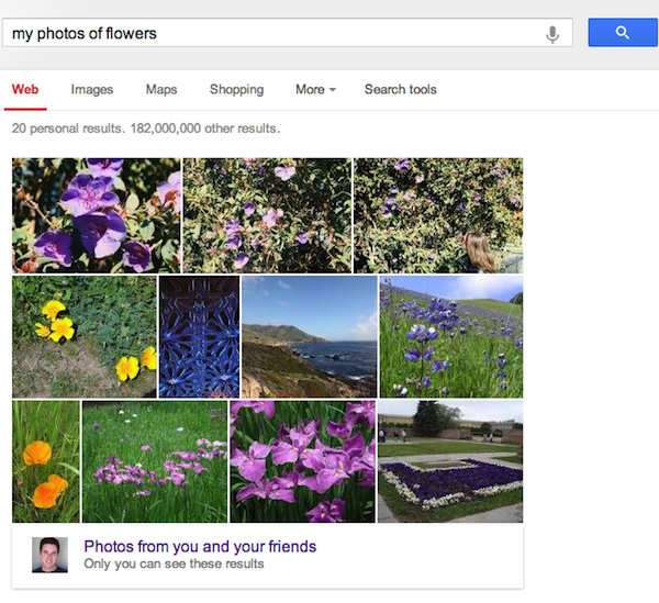 google-my-photos-of-flowers