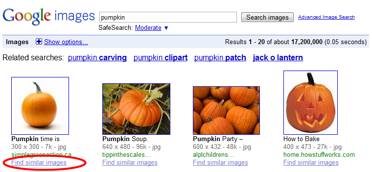 googlesimilarimage102809.png