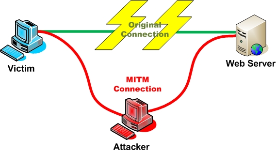 Web Server Attacker Victim