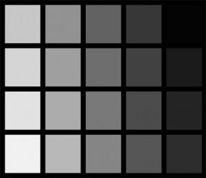 shades-of-gray