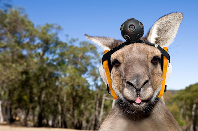 google-roo-view google-roo-view