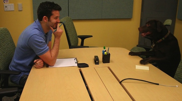 canine-interview-google canine-interview-google