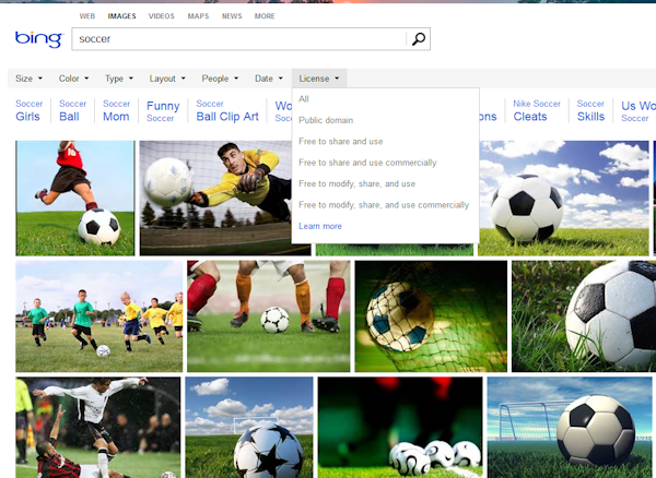 bing-img-license bing-img-license