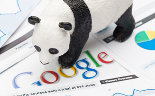 Google Panda Author Rank