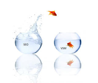 seo-vsm-fish