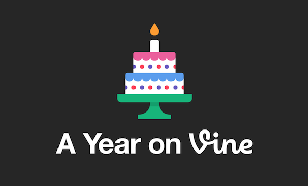 A Year on Vine