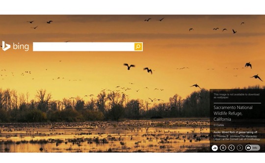 bing-homepage-image