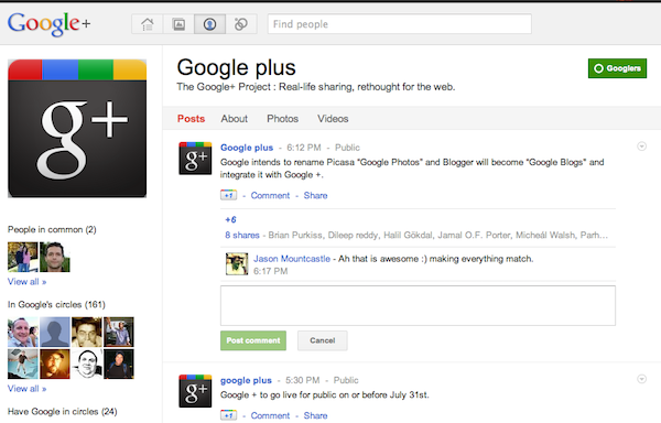 Fake Google Plus account constanty spread rumors and misrepresented official Google position.