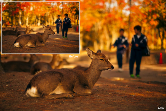 facebook-photo-viewer-before-after